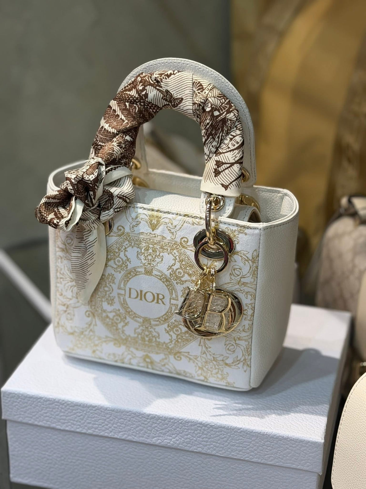 Dior Hand Bag GWP-VIP Item