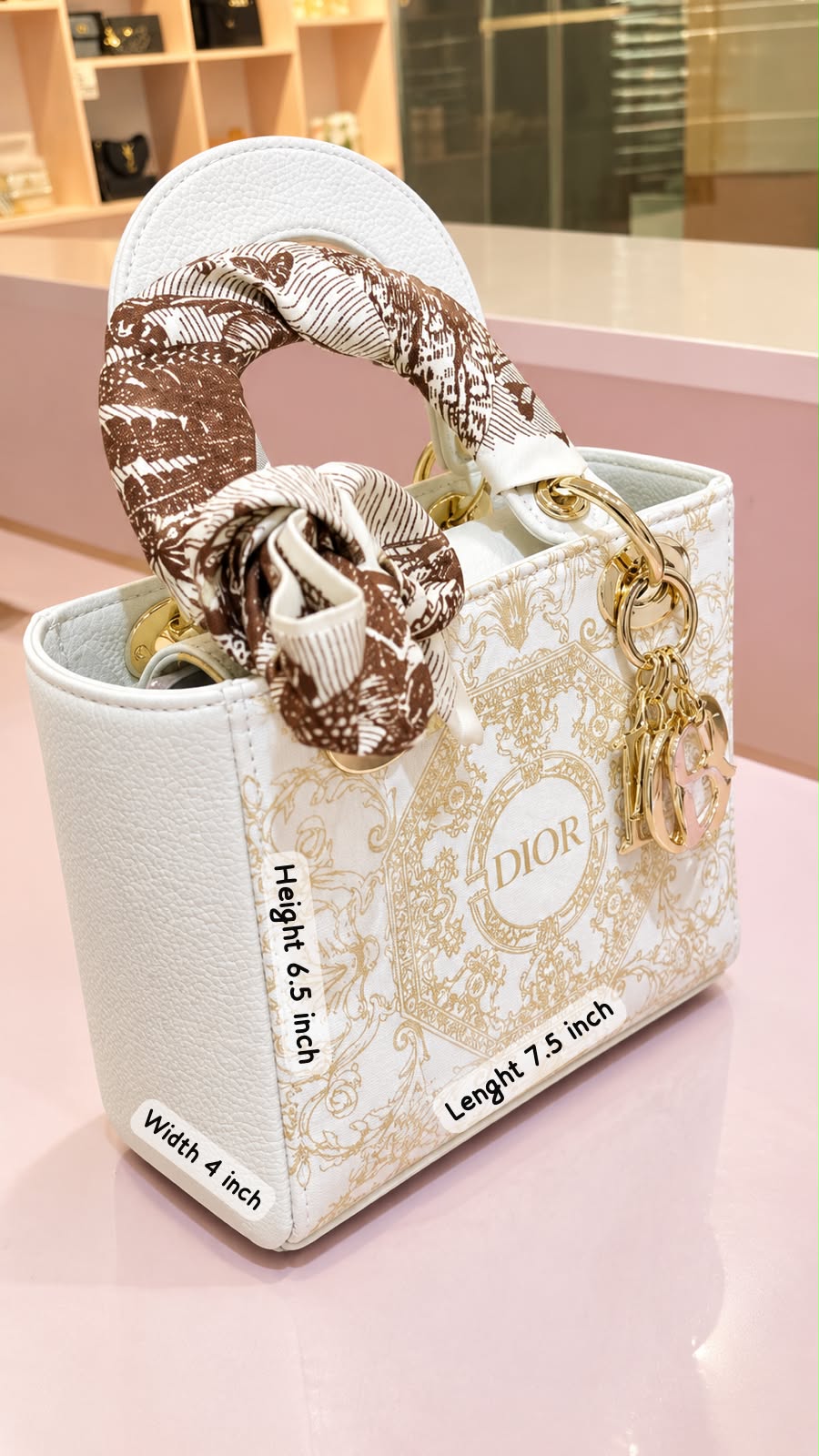 Dior Hand Bag GWP-VIP Item